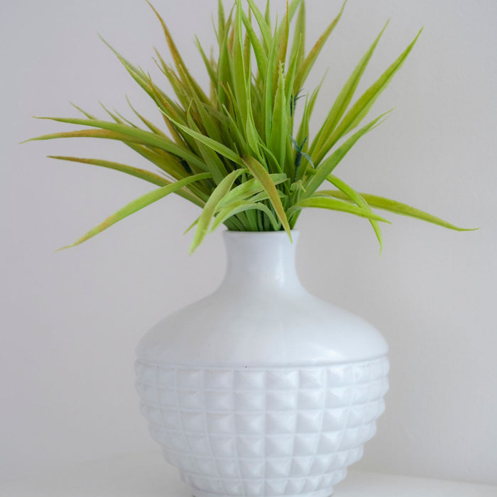 A simple white vase holding a single green plant.