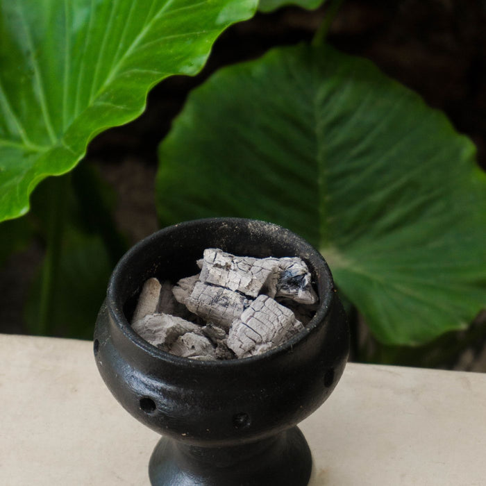 A ceramic incense holder with ash in it, sitting on a garden ledge among plants.