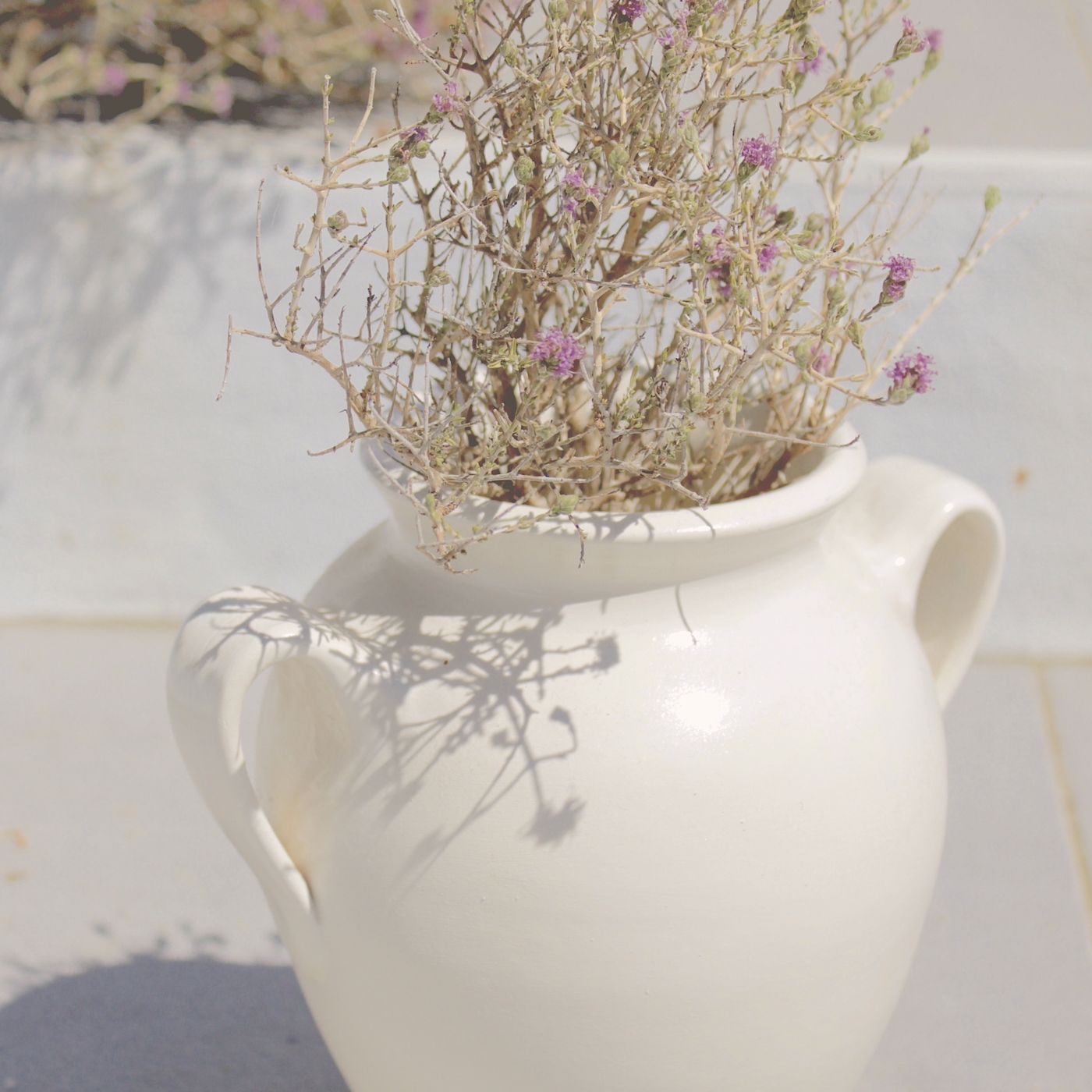 A white ceramic vase holding dried flowers in bright sunlight.