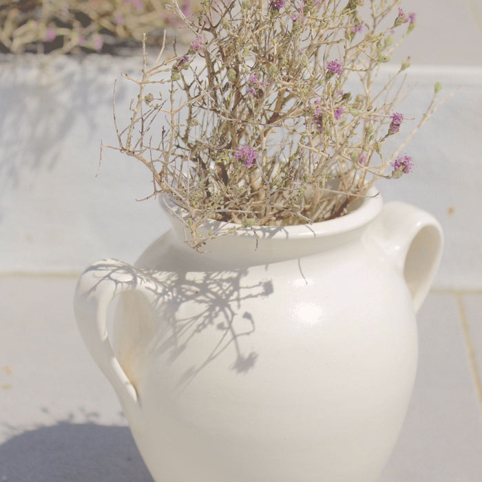 A white ceramic vase holding dried flowers in bright sunlight.