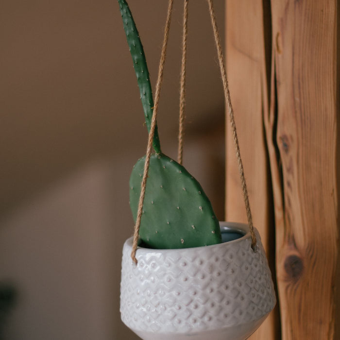 A textured white ceramic pot indoors with a single cactus leaf standing in it.